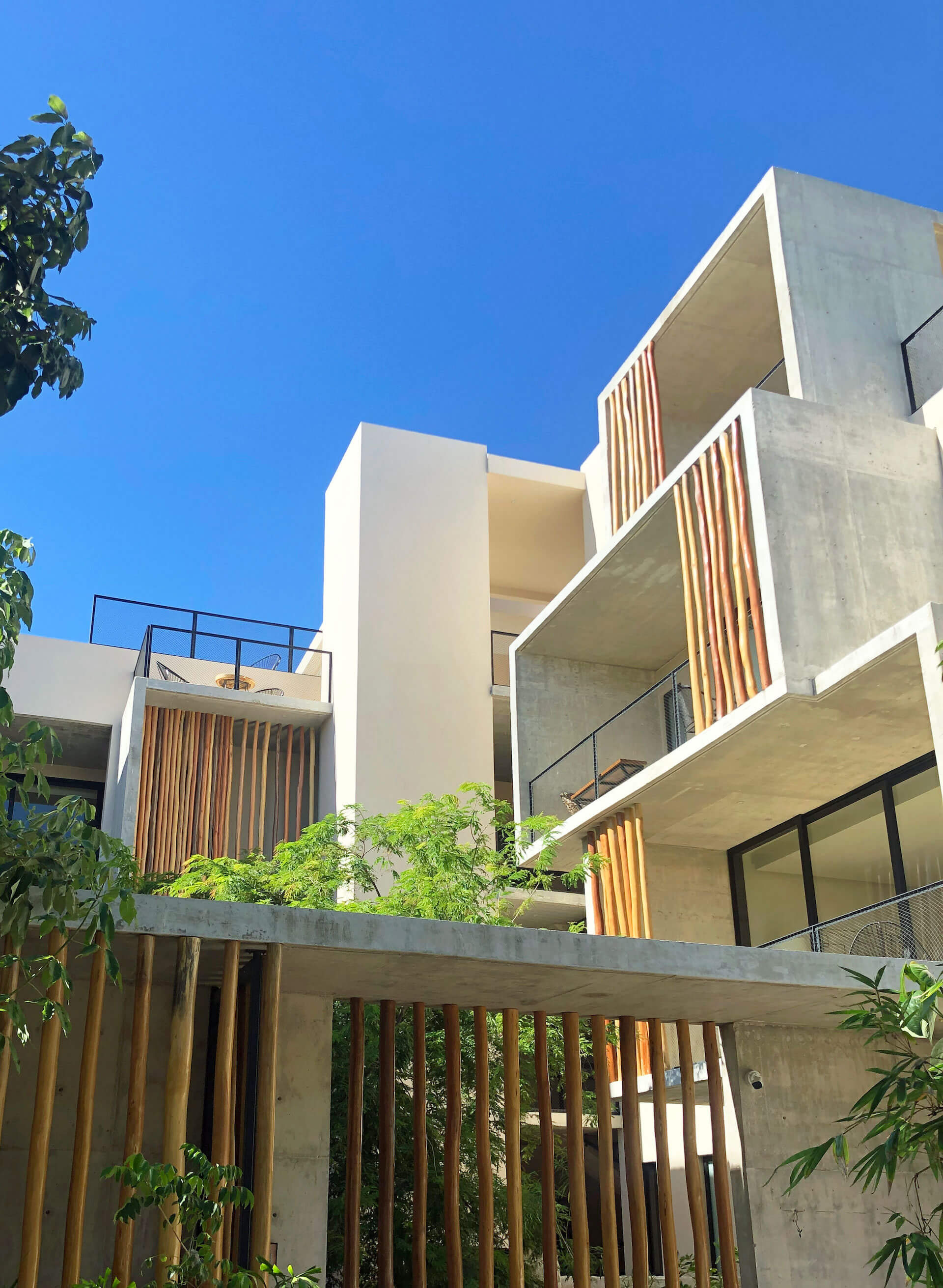 SESSILE : Grupo Origen